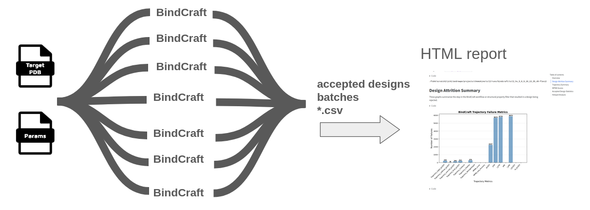 BindCraft workflow